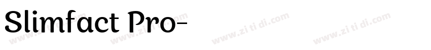 Slimfact Pro字体转换